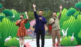 粉丝下跪爆料视频大全最新,粉丝下跪爆料视频大全，揭秘娱乐圈惊人内幕