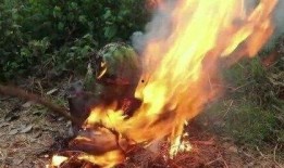 暗黑吃瓜官网入口免费观看,揭秘暗黑世界，畅享独家视听盛宴